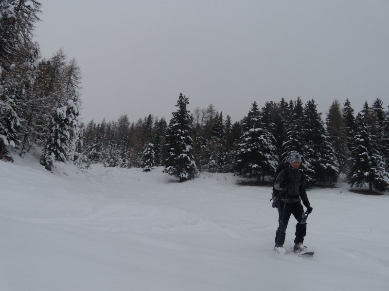 foto novembre 084.jpg